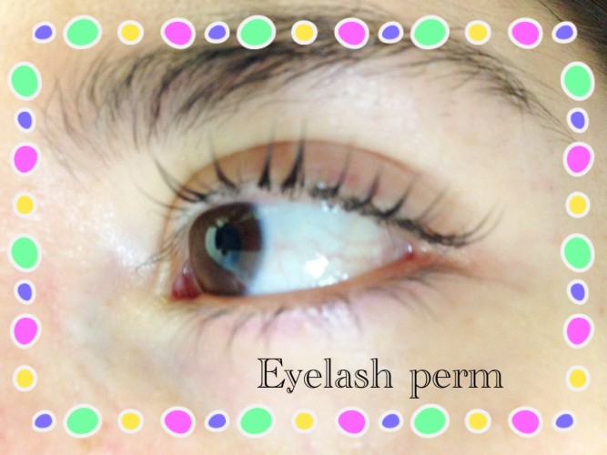 Before and After Curvylashes